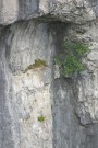 Malham Cove, July 2005